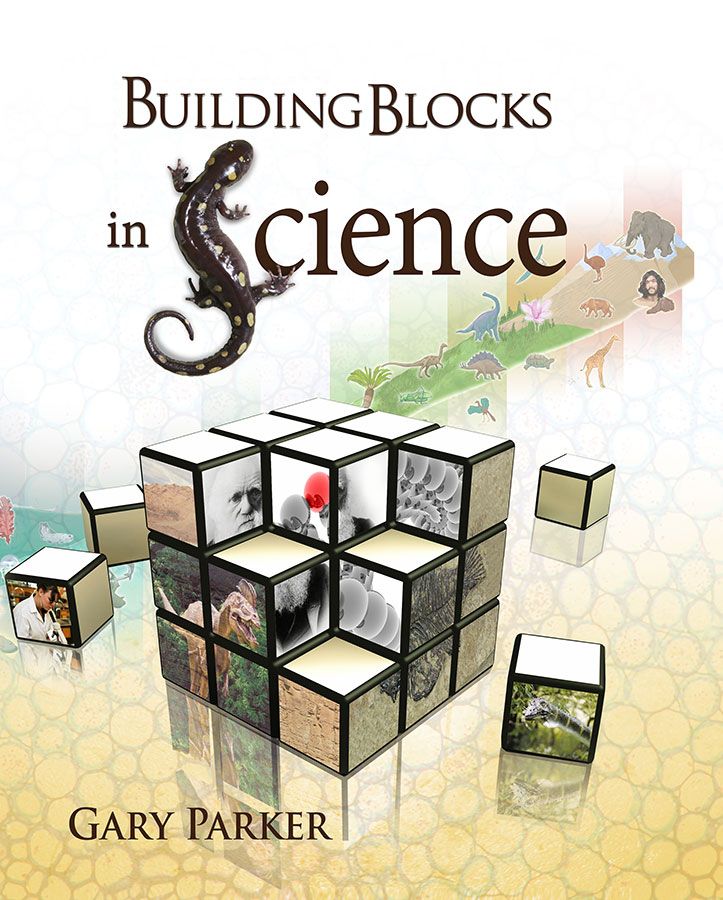 英語絵本Building block of science 8冊 平装 Amazon.com: Building Blocks Book 7 Student Textbook