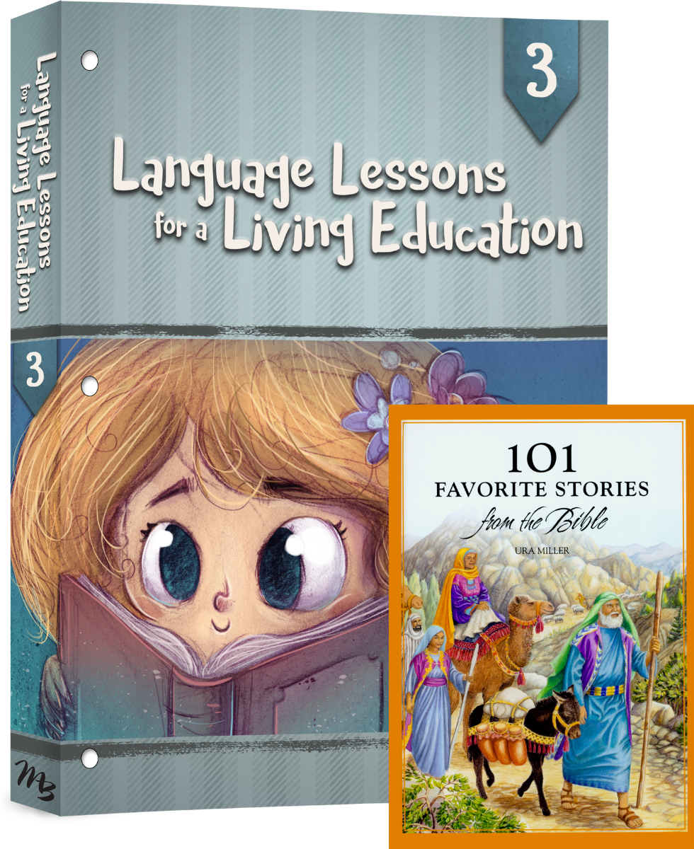 魅了 一部予約販売中】 日本語多義語学習辞典 新 |本 | 通販