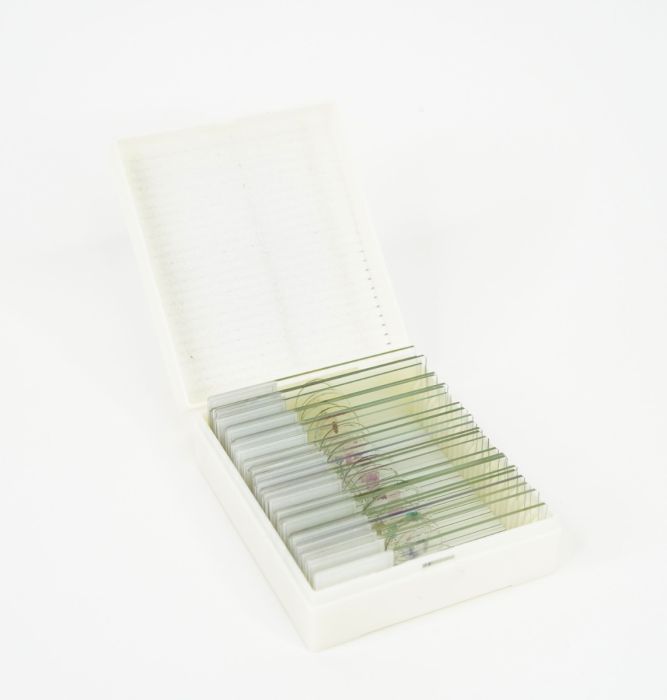 Master Books Biology Supply Kit (With Microscope)