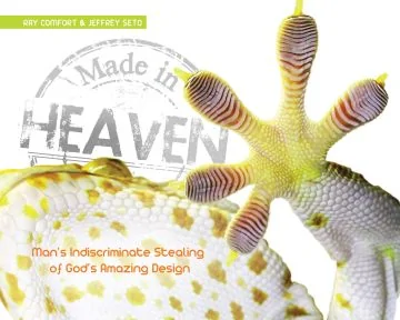 Made in Heaven (Download)