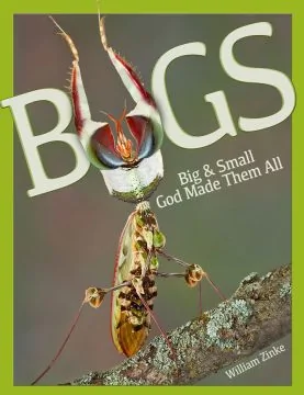 Bugs