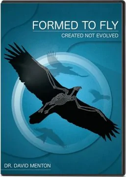 Formed to Fly
