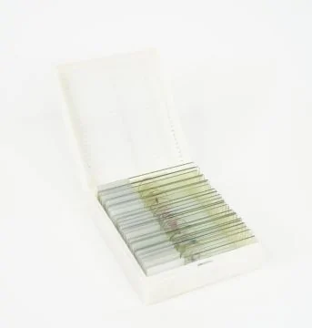 Master Books Biology Slide Set