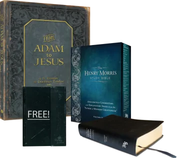Study Bible and Timeline Package w/FREE Journal