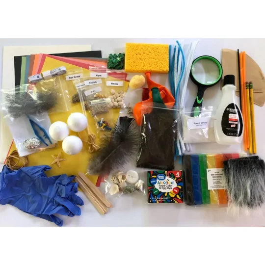 God's Design: Life (Supply Kit)
