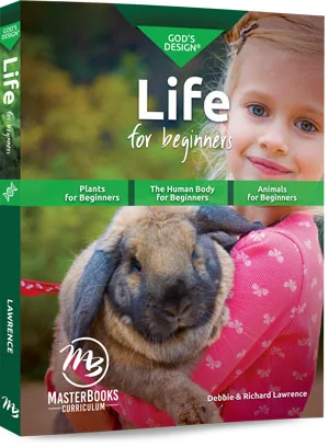 God's Design Life: For Beginners