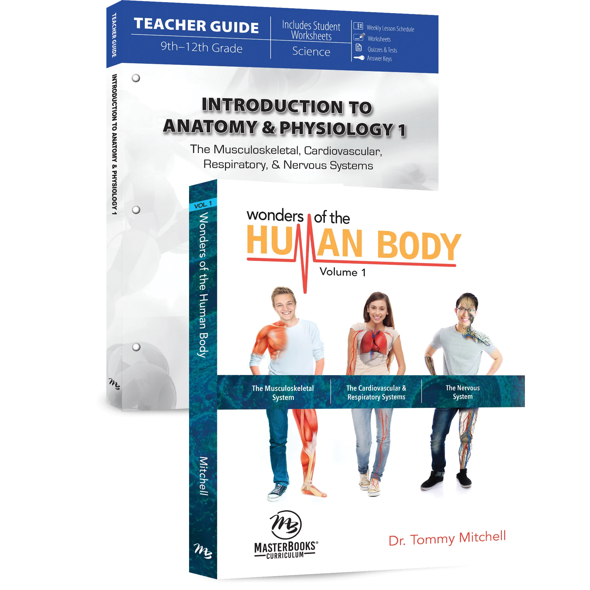 intro to anatomy 1