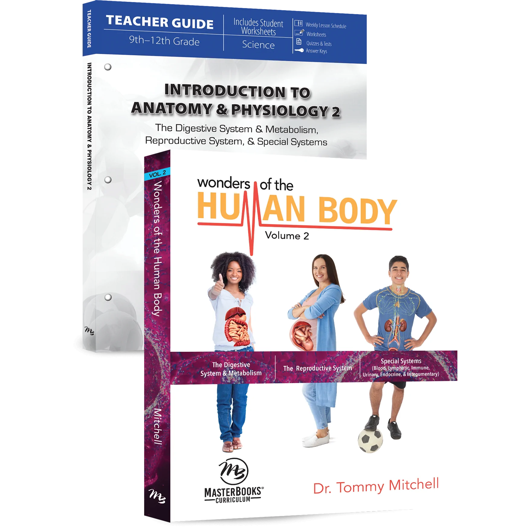 intro to anatomy 2